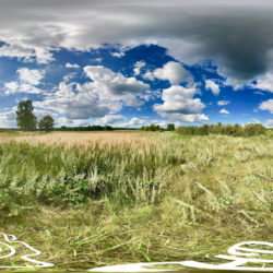 Idyllische Wildwiese in der Uckermark - 360˚ HD-Panorama © René Blanke Panoramafotograf