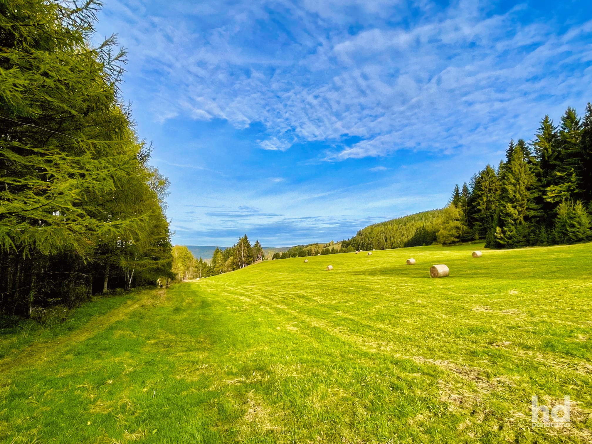 Wiesen, Felder und Wälder prägen die Landschaft (Breitenbrunn, Erzgebirge)
